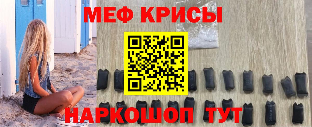 МЕФ  Звенигород