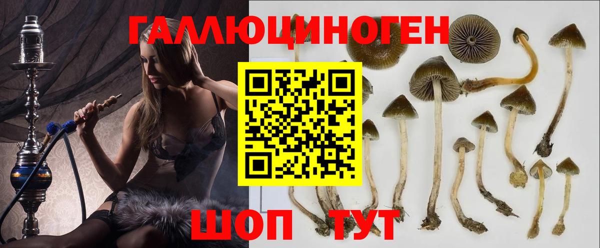 Псилоцибиновые грибы мухоморы  Галлюциногенные грибы GOLDEN TEACHER  Вход с VPN  Звенигород 